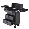 Rolling Cosmetic Case Makeup Train Lockable Case Trolley Beauty Storage Drawers