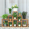 Large Combined Flower Ladder Potted Shelf Holder Rack 13 Tier Corner Plant Stand