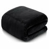 Plain Blanket Cuddle Cozy Winter Warm Fleece Travel Throw Single Double King