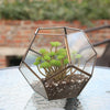 Geometric Succulent Bonsai Pot Planter Box Terrarium Micro Landscape Container