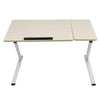 Adjustable Computer Desk Portable Laptop Study Table Trolley Home Sofa Bed Tray