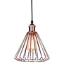 Vintage Metal Cage Industrial Wire Frame Pendant Light Loft Ceiling Lamp Shade