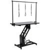 Extra Large Heavy Duty Hydraulic Dog Bath Grooming Table Station w/ H Bar & Arm