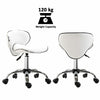Office Chair Beauty Salon Rolling Technician Stool Chair Low Back White