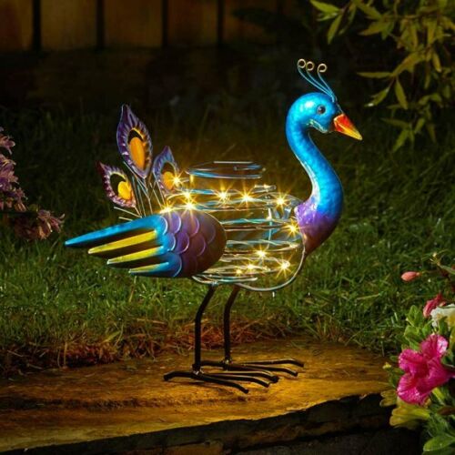 Solar powered store bird lights