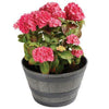4pk Half Barrel Flower Planter Pot Wooden Oak Effect Outdoor Decoration Garden