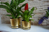 MODERN DECORATIVE INDOOR WEDDING TRAY PLASTIC PLANT POT