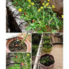 25M/40M Automatic Drip Irrigation System Kit Plant Self Watering Garden Hose UK