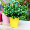 50 PCS Metal Flower Pots Balcony Garden Wall Fence Hanging Plant Planter S5O1E