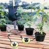 Automatic Holiday Plant Watering System Gravity Fed Irrigation Water Drip Kit