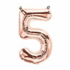 Rose Gold Happy Birthday Bunting Banner Balloons Tinsel Curtain DECORATIONS