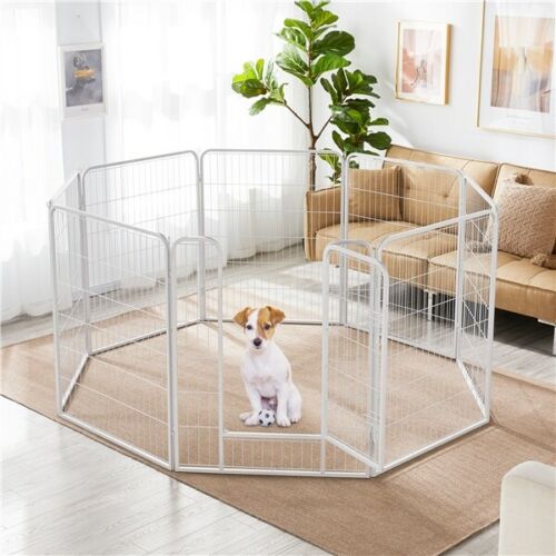 White sales dog pen