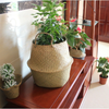 Seagrass Belly Basket Flower Plants Pots Laundry Storage Home Garden Organizer