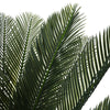 Large Ferns Cycas Tree Potted Green Plant Ficus Houseplant w/ Pot Indoor Outdoor