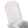 Modern Wall Hung Toilet White WC Pan Soft Close Seat Ceramic Bathroom Cloakroom