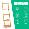 5-Tier Bamboo Ladder Shelf Space-saving Wall Mount Ladder Bookcase Display Rack