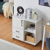 White Filing Cabinet Mobile Printer Stand W/2 Drawers 1 Door 3 Shelves