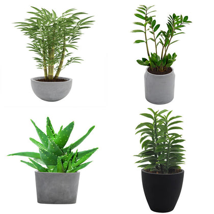 Small Large Cement Flower Plant Pot Concrete Planter for Indoor Outdoor Planting