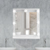 Mirrored Bathroom Cabinet LED White 1/2/3 Doors Mounted Cupboard Wall Mounted