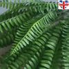 Large Artificial Plants Fake Leaf Foliage Bush Home Office Garden Outdoor Decor
