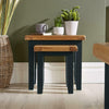 Modern Blue Painted Solid Wood Nest of 2 Side End Coffee Tables Living Room Set