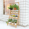 Small Medium Large Multi Tier Tiered Plant Stand Carbonized Shelf Holder Flower