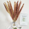 15/50PCS Artificial Dried Pampas Grass Reed Rabbit Tail Grass Flower Bunch Decor