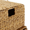 Set of 2 Water Hyacinth Under Bed Storage Box Trunk Chest Basket, Large