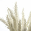 15/50PCS Artificial Dried Pampas Grass Reed Rabbit Tail Grass Flower Bunch Decor