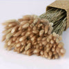 15/50PCS Artificial Dried Pampas Grass Reed Rabbit Tail Grass Flower Bunch Decor