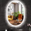 Oval Dimmable LED Backlit Bathroom Mirror Energy Saving Defog Wall Vanity Mirror