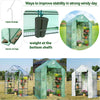 2 Tier 4 Shelves Walk-in Greenhouse PE Cover Garden Flower Vegetable Plant Shed