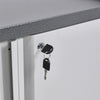 Metal Filing Cabinet Storage Organize Lockable HomeOffice Mobile 2-Door Cupboard