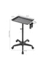 Hair Salon Trolley Cart Tray Hair Coloring Beauty Station Grooming 2 Tool Holder