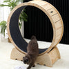 Cat Exercise Wheel Treadmill Cat Running Wheel Climbing Scratching Indoor Silent