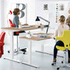 Flamaker 140x70 cm Electric Standing Desk Height Adjustable Computer Desk