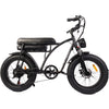 BEZIOR XF001 E-Bike Electric Bicycle Mountain Bike 20" Fat Tire Smart Meter QG