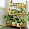 Small Medium Large Multi Tier Tiered Plant Stand Carbonized Shelf Holder Flower
