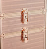 Large Vanity Makeup Beauty Cosmetic Case Trolley Hairdressing Nail Storage Box