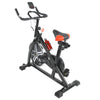 Exercise Bike Stationary Indoor Home Gym Cycling Cardio Fitness Training Workout