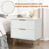 2Pcs Bedside Table w/ 2 Drawers Bedside Cabinet Metal Frame for Living Room NS