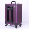 Purple Makeup Trolley Beauty Case Nail Technician Cosmetic Storage Box Organizer
