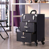Large Mobile Makeup Beauty Cosmetic Storage Trolley Nail Technician Drawers Case