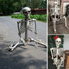 Skull Human Skeleton Prop Horror Full Size Body Anatomy Model Party Scary Decor