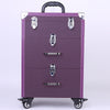 Purple Makeup Trolley Beauty Case Nail Technician Cosmetic Storage Box Organizer
