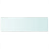 Shelf Panel Tempered Glass Clear Sheet Storage Shelving Display Shelves Rack