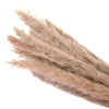 15/50PCS Artificial Dried Pampas Grass Reed Rabbit Tail Grass Flower Bunch Decor