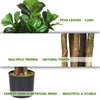180cm Artificial Fiddle Leaf Fig Tree Nearly Natural Greenery Plant Potted Fake