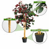 120CM Artificial Ficus Tree Realistic Fake Decorative Plant with Plastic Pot
