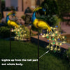 Solar Power Outdoor Garden Novelty LED Peacock Light Up Path Ornament Stake Lamp